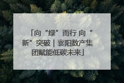 向“绿”而行 向“新”突破｜襄阳数产集团赋能低碳未来