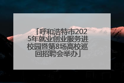呼和浩特市2025年就业创业服务进校园暨第8场高校巡回招聘会举办