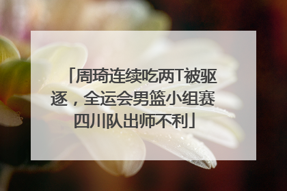 周琦连续吃两T被驱逐，全运会男篮小组赛四川队出师不利
