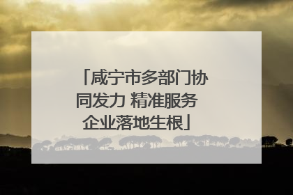 咸宁市多部门协同发力 精准服务企业落地生根