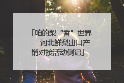 咱的梨“香”世界——河北鲜梨出口产销对接活动侧记