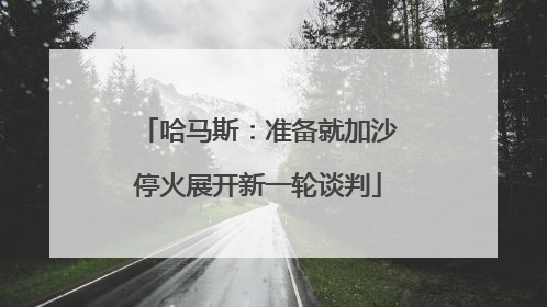哈马斯：准备就加沙停火展开新一轮谈判