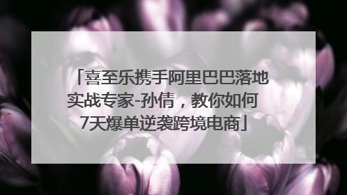 喜至乐携手阿里巴巴落地实战专家-孙倩，教你如何7天爆单逆袭跨境电商