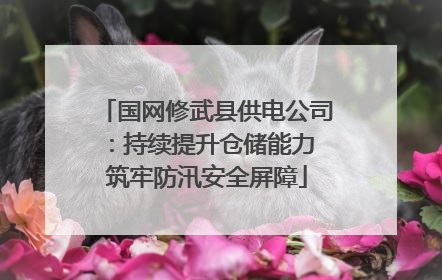 国网修武县供电公司：持续提升仓储能力 筑牢防汛安全屏障
