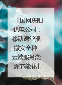 国网庆阳供电公司：移动课堂播撒安全种 云端服务浇灌节能花