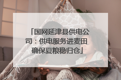 国网延津县供电公司：供电服务进麦田 确保夏粮稳归仓