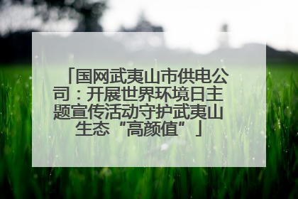 国网武夷山市供电公司：开展世界环境日主题宣传活动守护武夷山生态“高颜值”