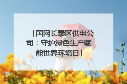 国网长泰区供电公司：守护绿色生产赋能世界环境日