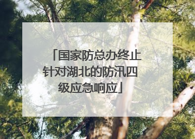 国家防总办终止针对湖北的防汛四级应急响应