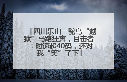 四川乐山一鸵鸟“越狱”马路狂奔，目击者：时速超40码，还对我“笑”了下