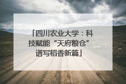 四川农业大学：科技赋能“天府粮仓”谱写稻香新篇