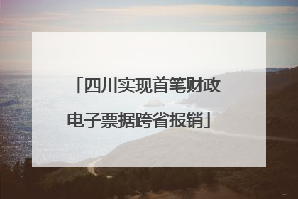 四川实现首笔财政电子票据跨省报销