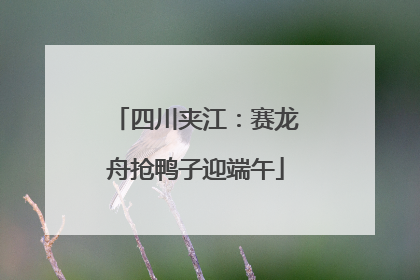 四川夹江：赛龙舟抢鸭子迎端午
