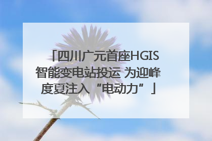 四川广元首座HGIS智能变电站投运 为迎峰度夏注入“电动力”