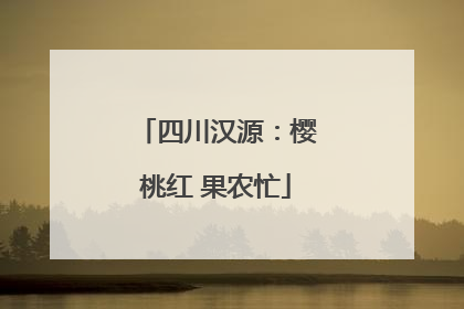 四川汉源：樱桃红 果农忙