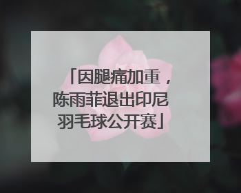 因腿痛加重，陈雨菲退出印尼羽毛球公开赛