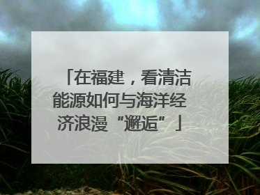 在福建，看清洁能源如何与海洋经济浪漫“邂逅”
