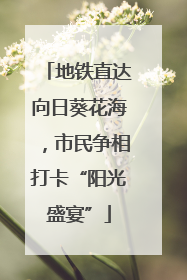 地铁直达向日葵花海，市民争相打卡“阳光盛宴”