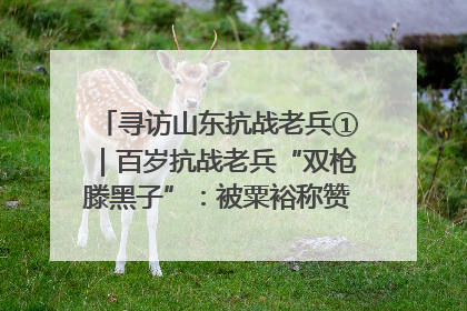 寻访山东抗战老兵①｜百岁抗战老兵“双枪滕黑子”：被粟裕称赞的“孤胆英雄”