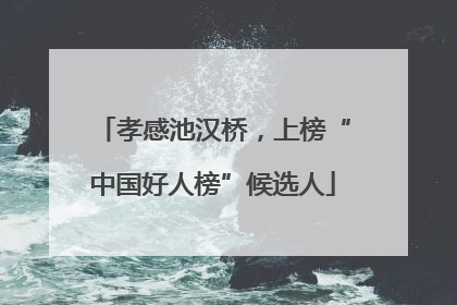孝感池汉桥，上榜“中国好人榜”候选人