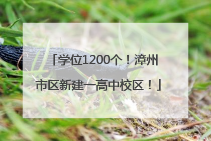 学位1200个！漳州市区新建一高中校区！
