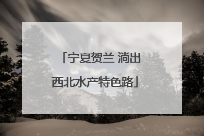 宁夏贺兰 淌出西北水产特色路