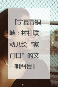 宁夏青铜峡：村社联动共绘“家门口”的文明图景