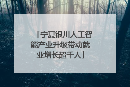 宁夏银川人工智能产业升级带动就业增长超千人