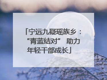 宁远九疑瑶族乡：“青蓝结对” 助力年轻干部成长