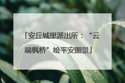 安丘城里派出所：“云端枫桥”绘平安图景