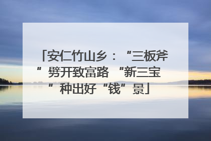 安仁竹山乡：“三板斧”劈开致富路 “新三宝”种出好“钱”景
