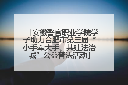 安徽警官职业学院学子助力合肥市第三届“小手牵大手、共建法治城”公益普法活动