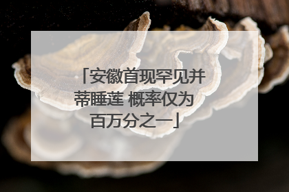 安徽首现罕见并蒂睡莲 概率仅为百万分之一