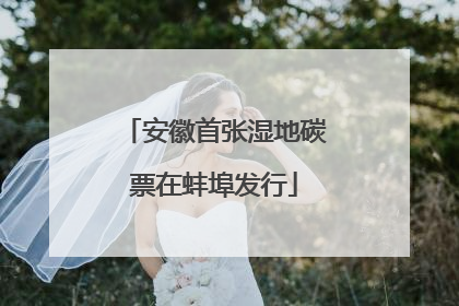 安徽首张湿地碳票在蚌埠发行