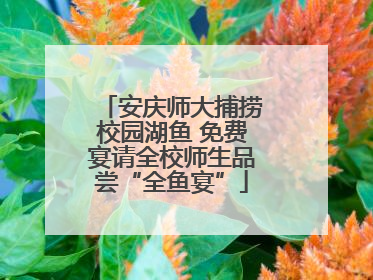 安庆师大捕捞校园湖鱼 免费宴请全校师生品尝“全鱼宴”