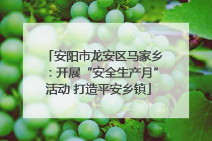 安阳市龙安区马家乡：开展“安全生产月”活动 打造平安乡镇