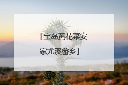 宝岛黄花菜安家尤溪畲乡