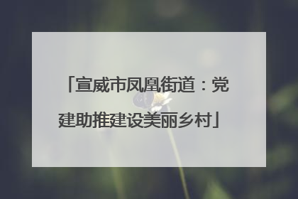 宣威市凤凰街道：党建助推建设美丽乡村