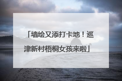 墙绘又添打卡地！巡津新村梧桐女孩来啦