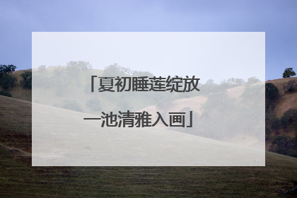夏初睡莲绽放 一池清雅入画