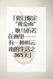 夏日限定“黄金雨”，耿马仿若在画里——有一种叫云南的生活之365天