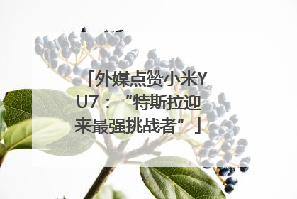 外媒点赞小米YU7：“特斯拉迎来最强挑战者”