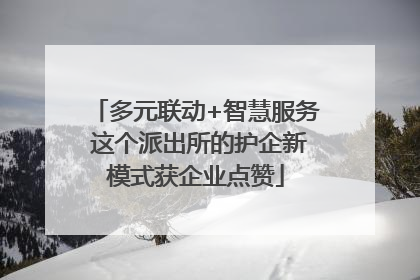多元联动+智慧服务 这个派出所的护企新模式获企业点赞