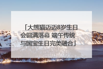 大熊猫迈迈8岁生日会圆满落幕 端午传统与国宝生日完美融合