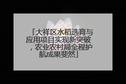 大祥区水稻选育与应用项目实现新突破，农业农村局全程护航成果斐然