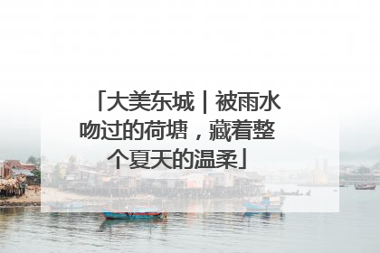 大美东城｜被雨水吻过的荷塘，藏着整个夏天的温柔