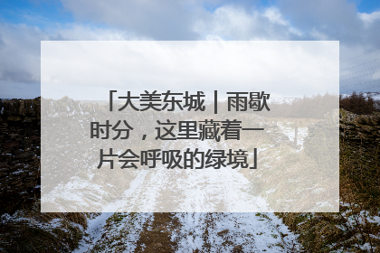 大美东城｜雨歇时分，这里藏着一片会呼吸的绿境