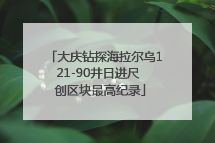 大庆钻探海拉尔乌121-90井日进尺 创区块最高纪录