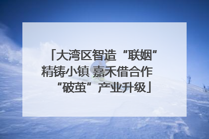大湾区智造“联姻”精铸小镇 嘉禾借合作“破茧”产业升级
