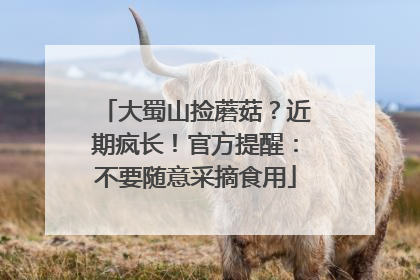 大蜀山捡蘑菇？近期疯长！官方提醒：不要随意采摘食用